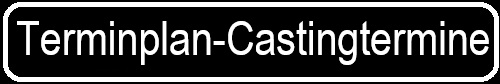 Castingtermine
